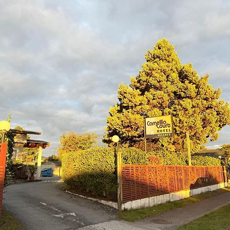 Camellia Court Family Motel Tauposjön Exteriör bild