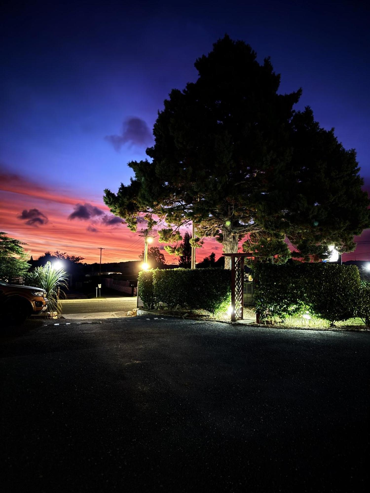 Camellia Court Family Motel Tauposjön Exteriör bild